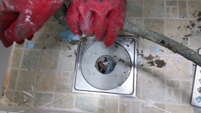 20190425_113833.jpg