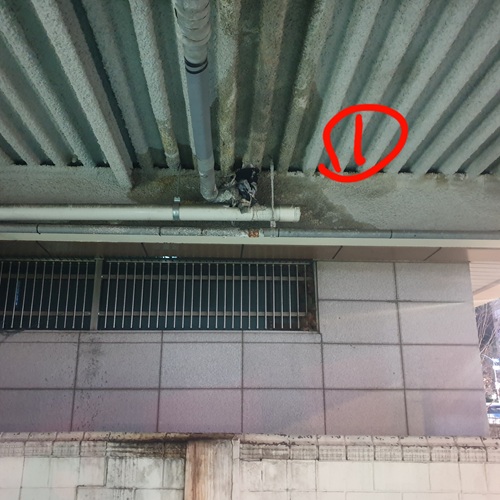 980b188c93b02129eba56e6b6b7a23fa_1765977873_2331.jpg 980b188c93b02129eba56e6b6b7a23fa_1765977873_2331.jpg