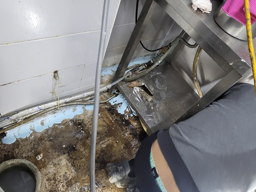 980b188c93b02129eba56e6b6b7a23fa_1765977887_1173.jpg 980b188c93b02129eba56e6b6b7a23fa_1765977887_1173.jpg